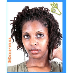 Products to Condition Locs & Scalp Moisture